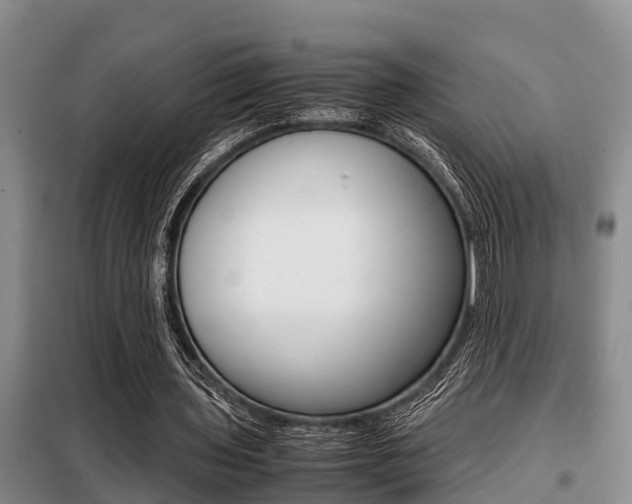 X0000099410435200805090731