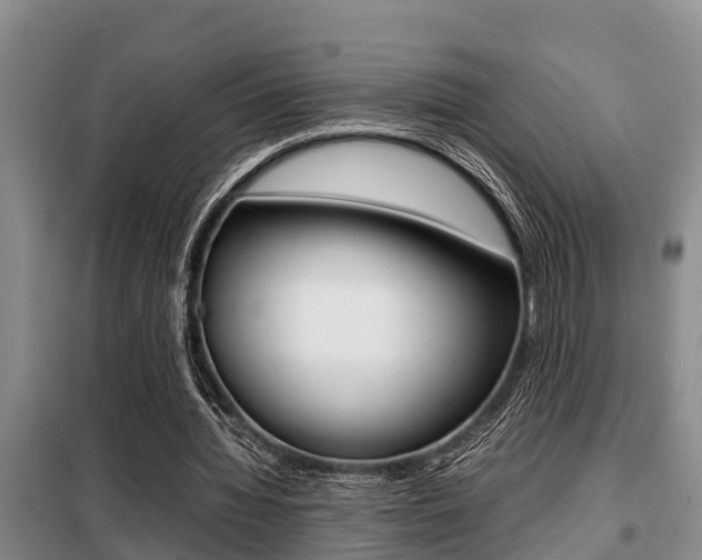 X0000099410436200805090731