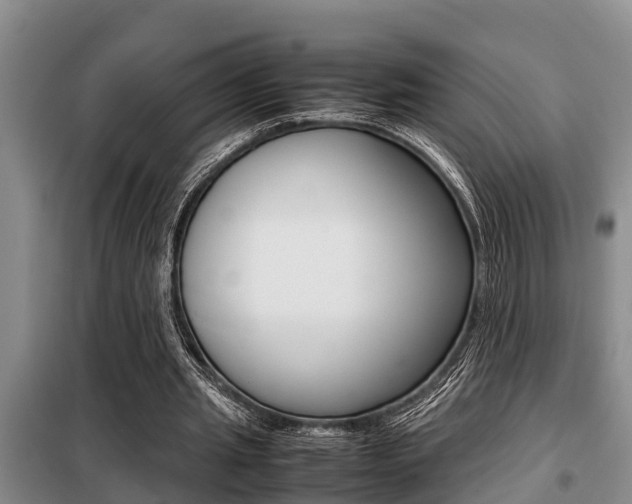 X0000099410437200805090731