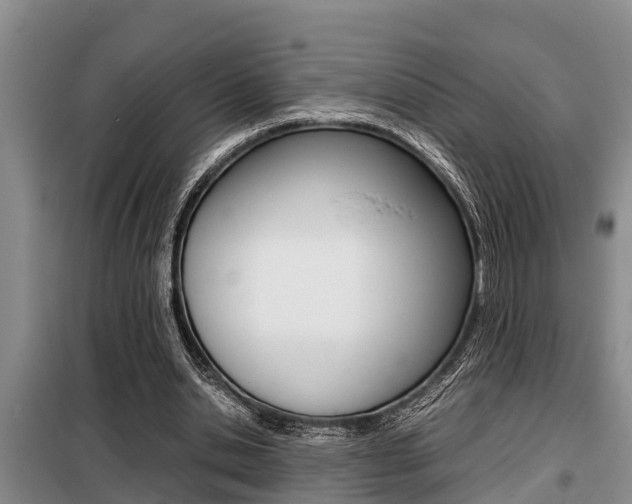 X0000099410438200805090731