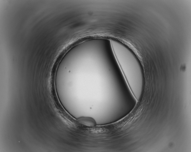 X0000099410439200805090731
