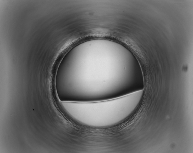 X0000099410440200805090731