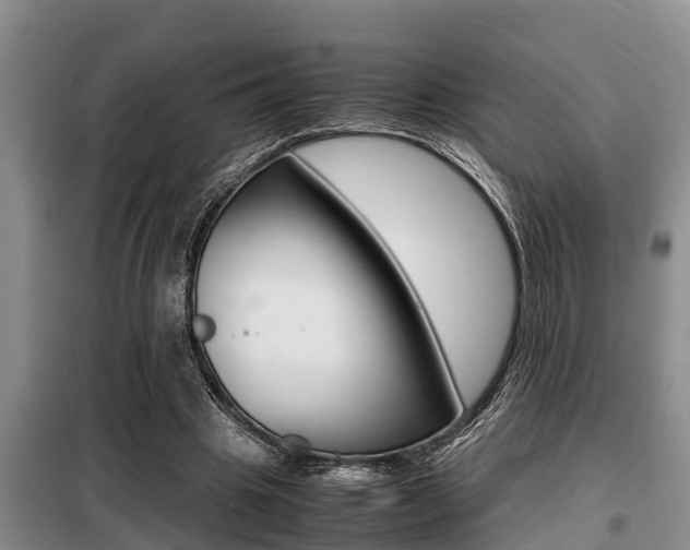 X0000099410441200805090731