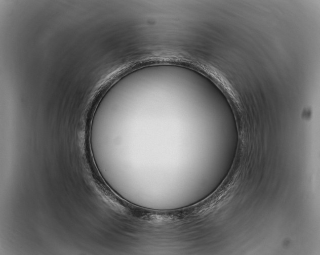X0000099410442200805090731