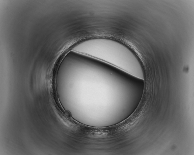 X0000099410443200805090731