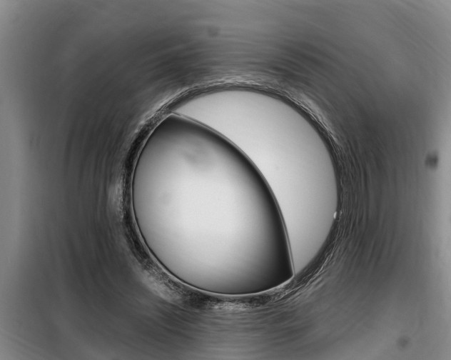 X0000099410444200805090731