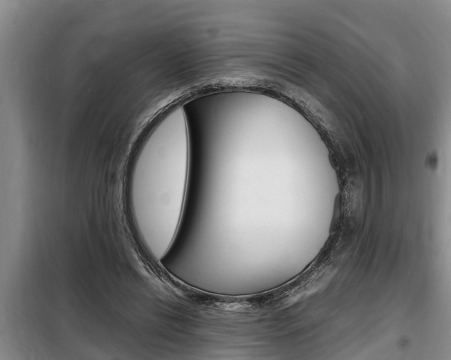 X0000099410446200805090731