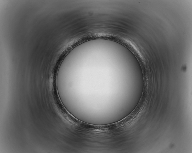 X0000099410447200805090731