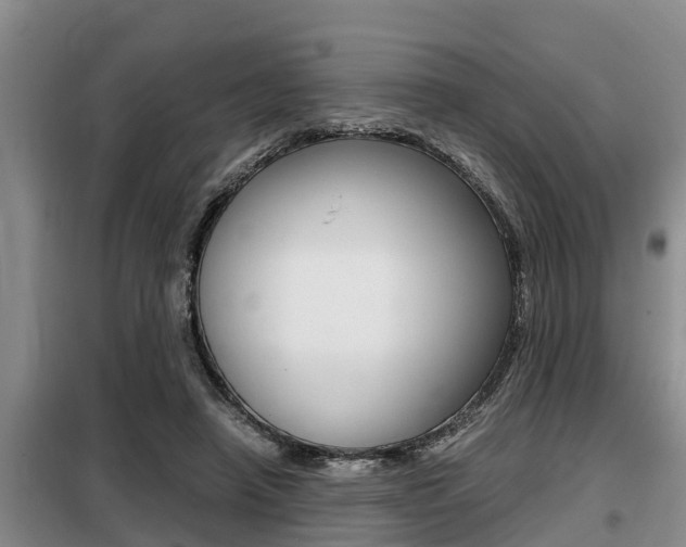 X0000099410450200805090731