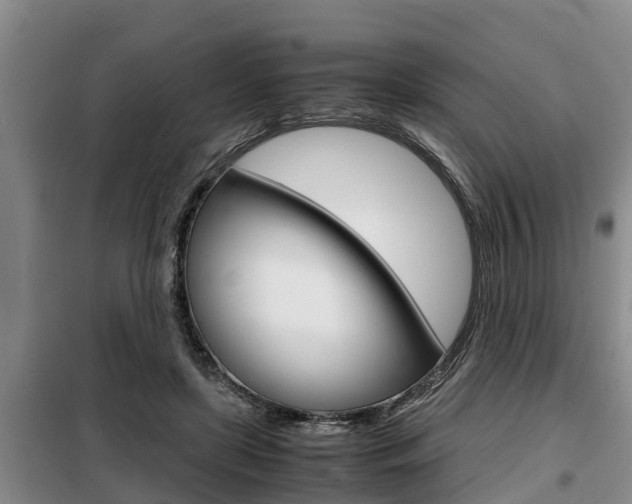 X0000099410451200805090731