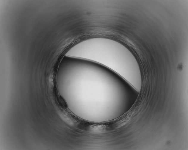 X0000099410452200805090731