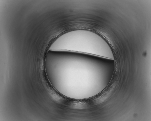 X0000099410453200805090731