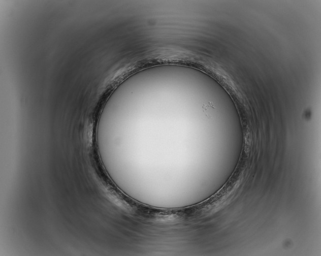 X0000099410454200805090731