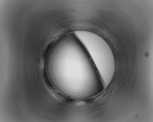 X0000099410456200805090731