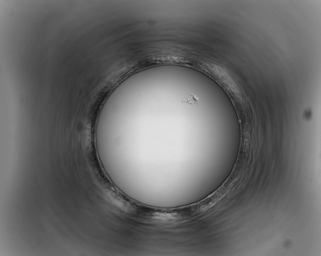 X0000099410457200805090731