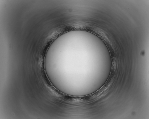 X0000099410458200805090731