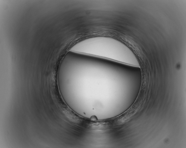 X0000099410461200805090731