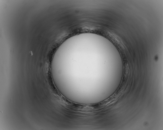 X0000099410463200805090731