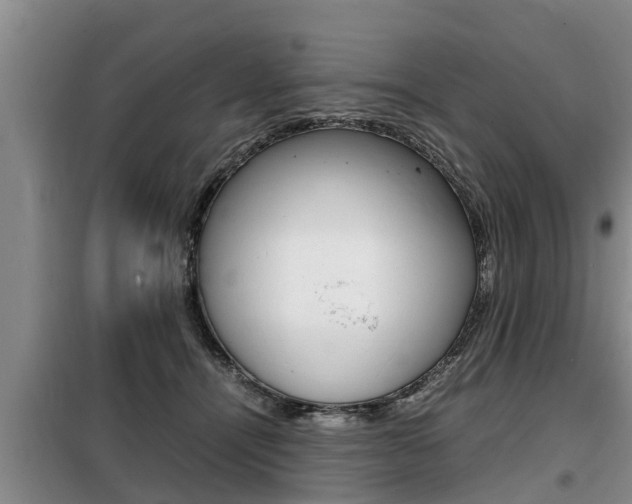 X0000099410464200805090731