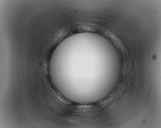 X0000099410465200805090731