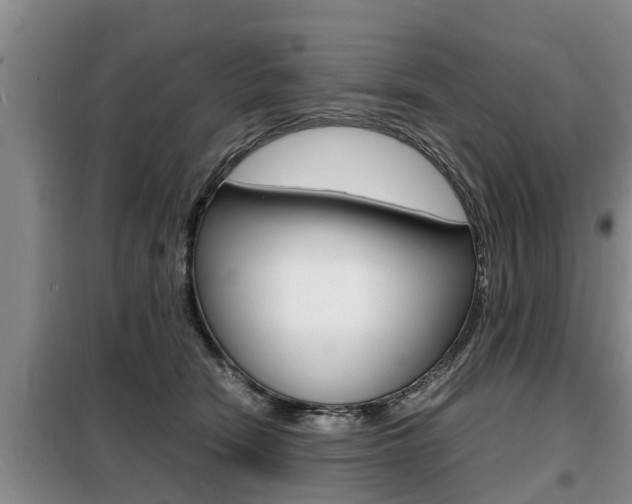 X0000099410466200805090731