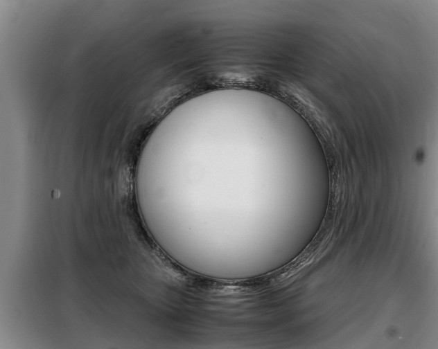 X0000099410467200805090731