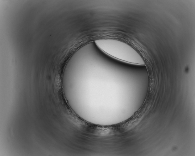X0000099410469200805090731