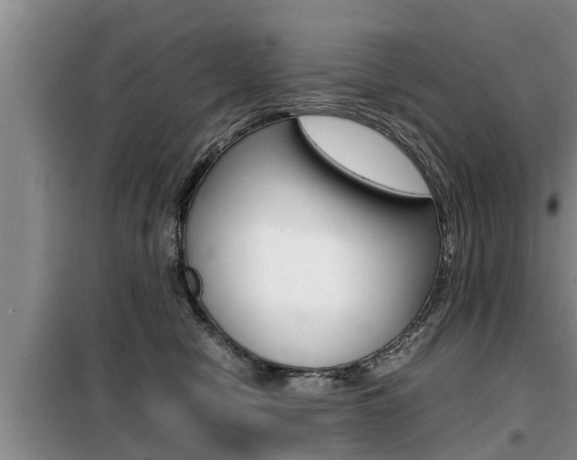 X0000099410470200805090731