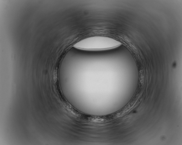 X0000099410471200805090731