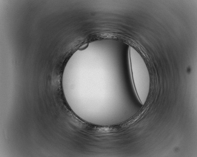 X0000099410473200805090731
