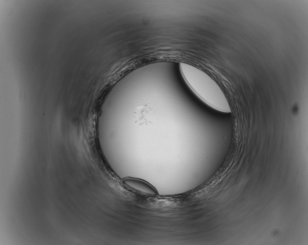 X0000099410475200805090732