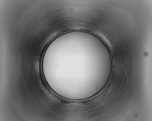 X0000099410482200805090731