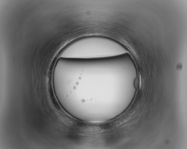 X0000099410483200805090731