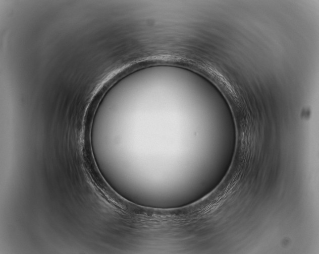 X0000099410484200805090731