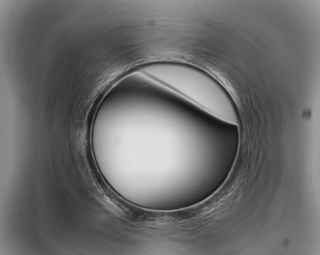 X0000099410485200805090731