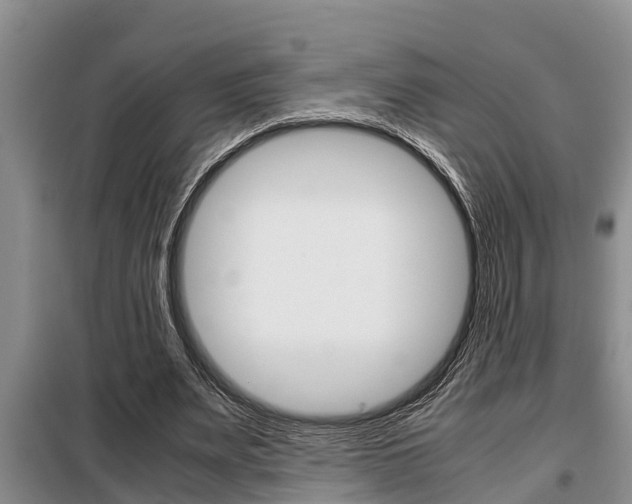 X0000099410487200805090731