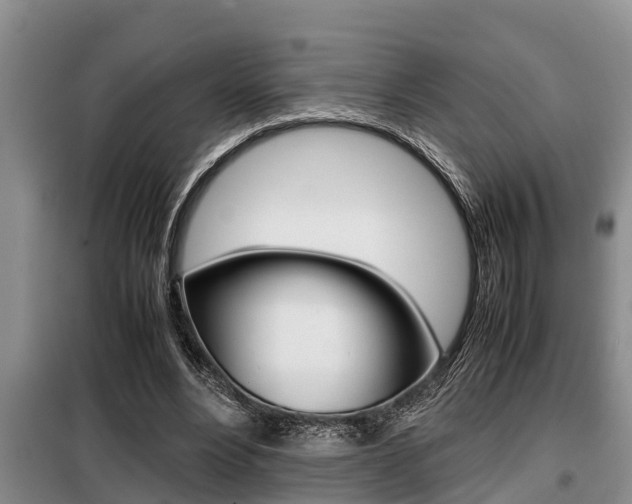 X0000099410488200805090731