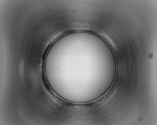 X0000099410490200805090731
