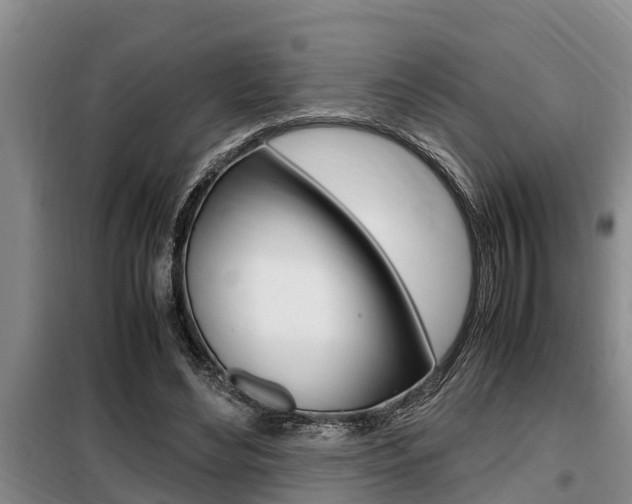 X0000099410492200805090731