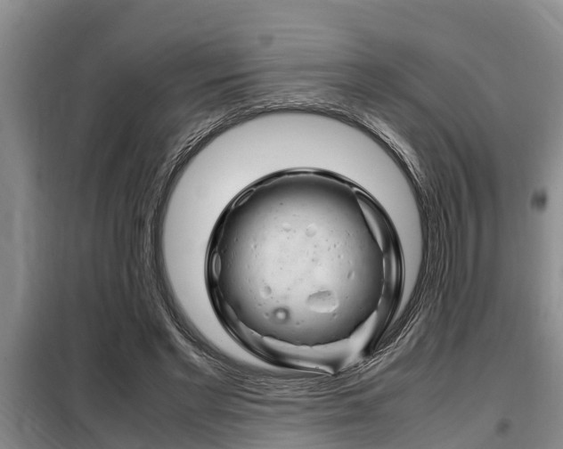 X0000099410493200805090731