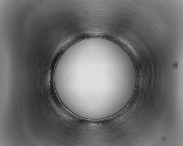 X0000099410494200805090731