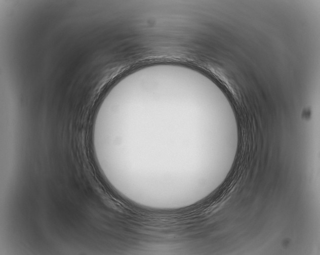 X0000099410495200805090731