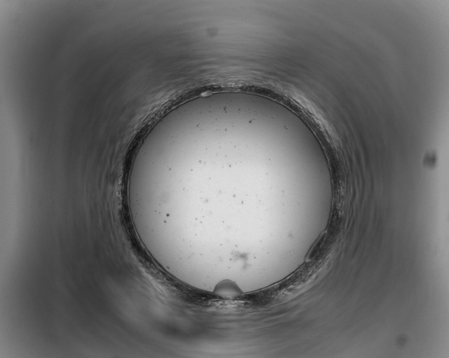 X0000099410497200805090731