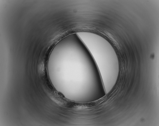 X0000099410500200805090730