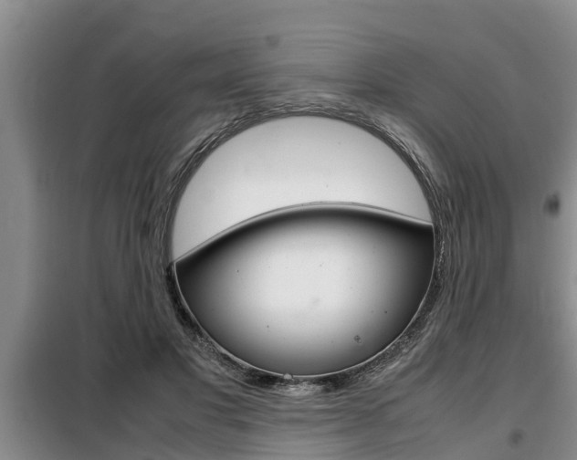 X0000099410501200805090730