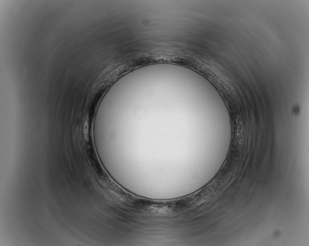 X0000099410502200805090730