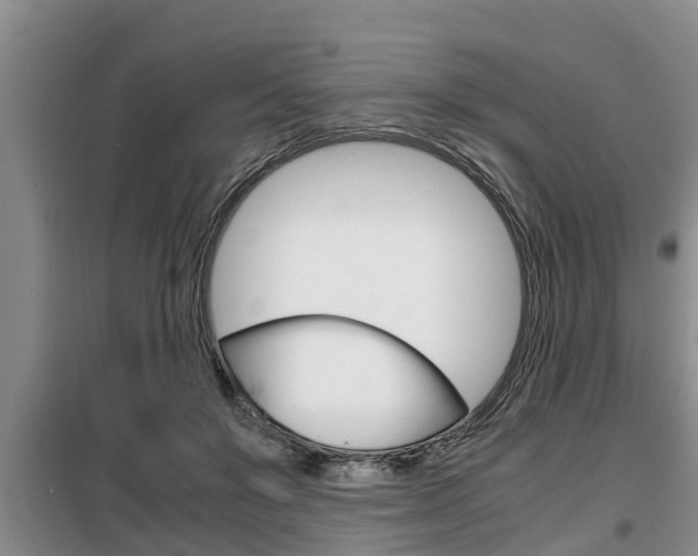 X0000099410503200805090730
