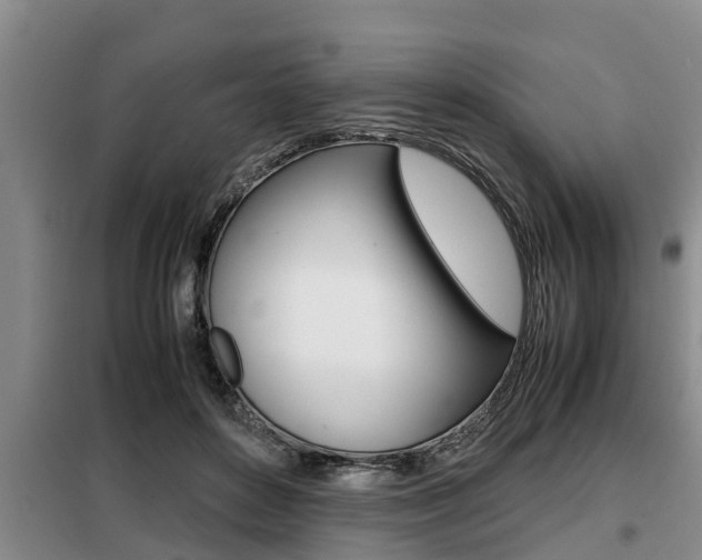 X0000099410504200805090730