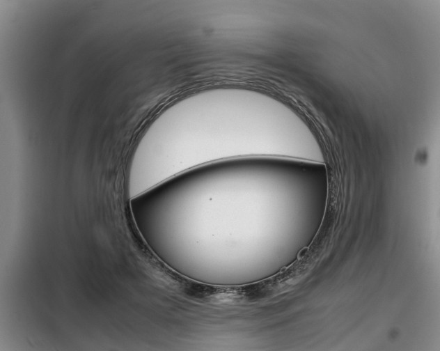X0000099410505200805090730