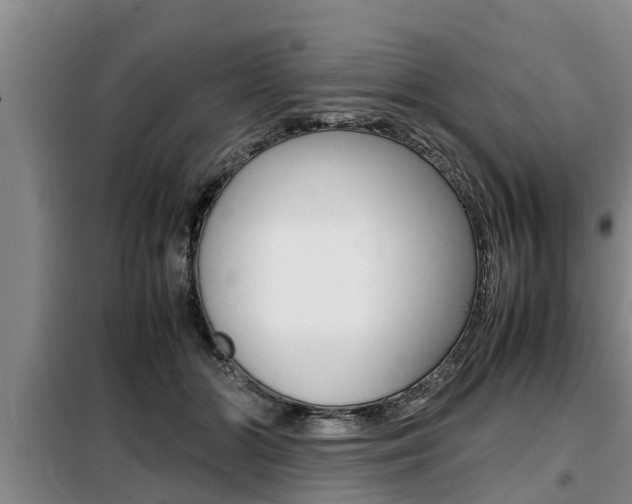 X0000099410510200805090730
